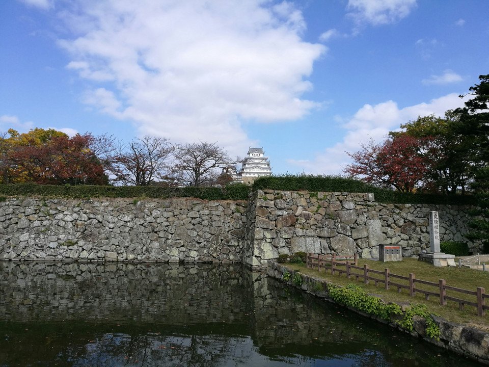 20 Image 20