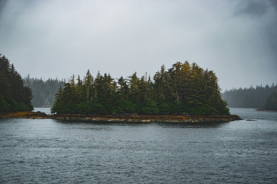 5 Image 5