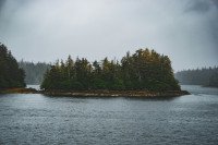 5 Image 5