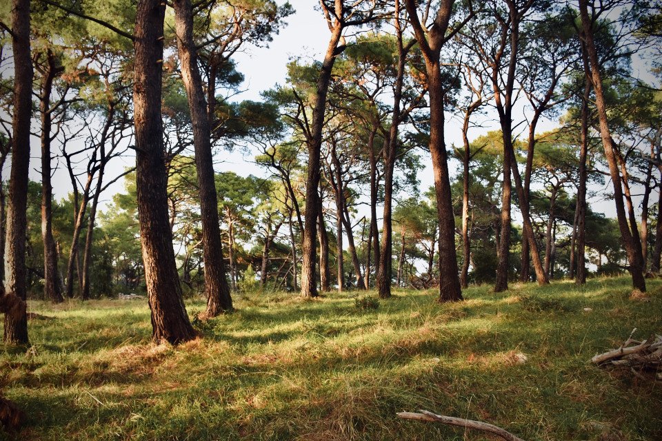6 Image 6