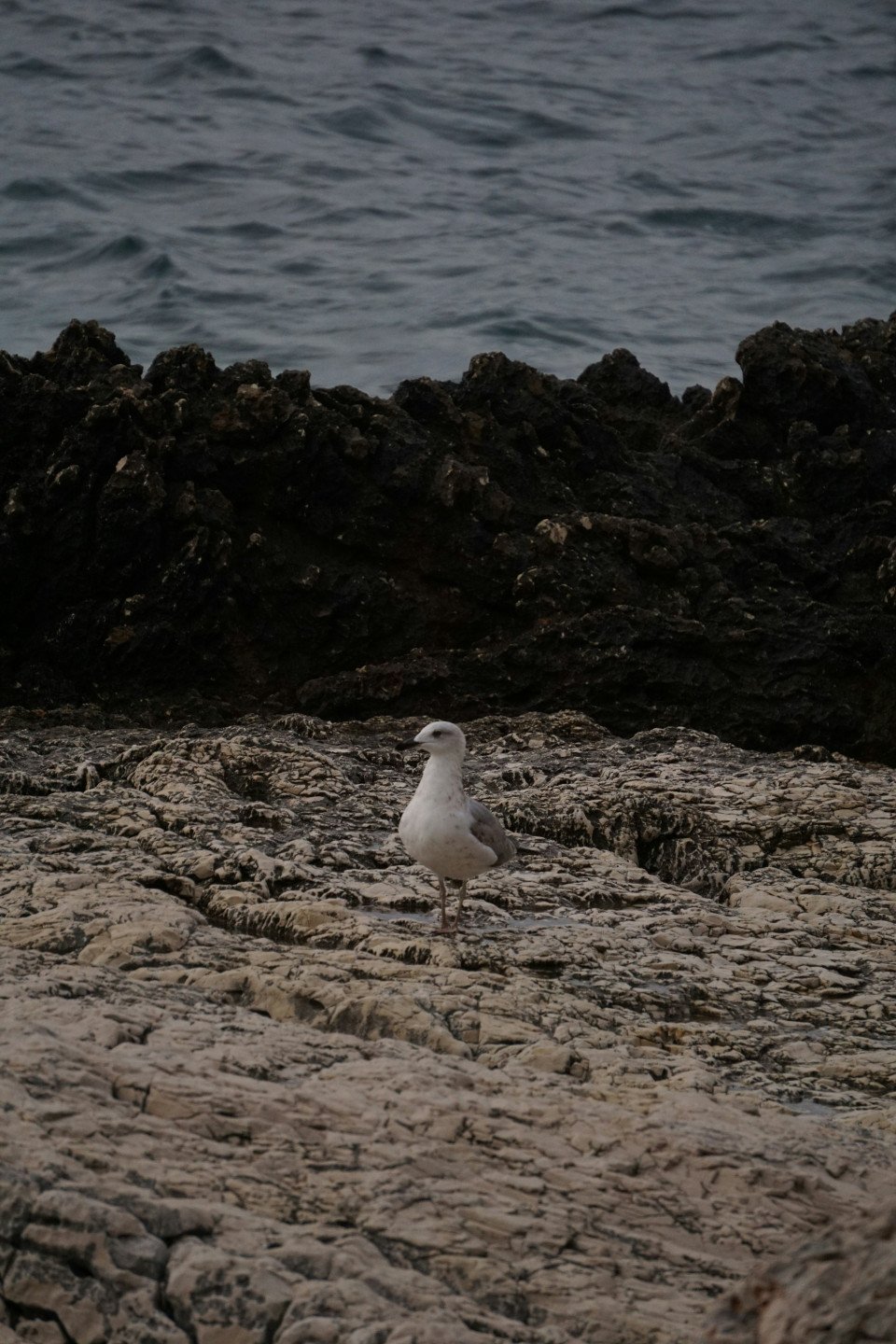8 Image 8