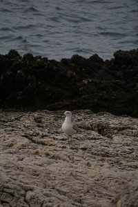 8 Image 8