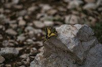 9 Image 9