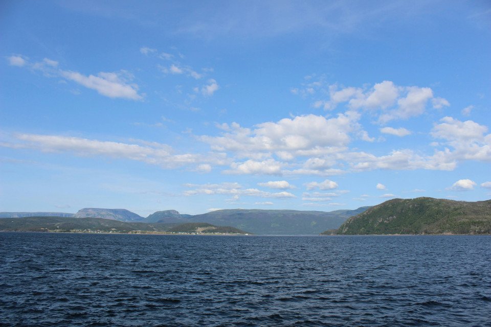 4 Image 4