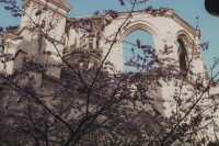 1 Image 1