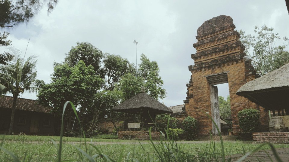 3 Image 3