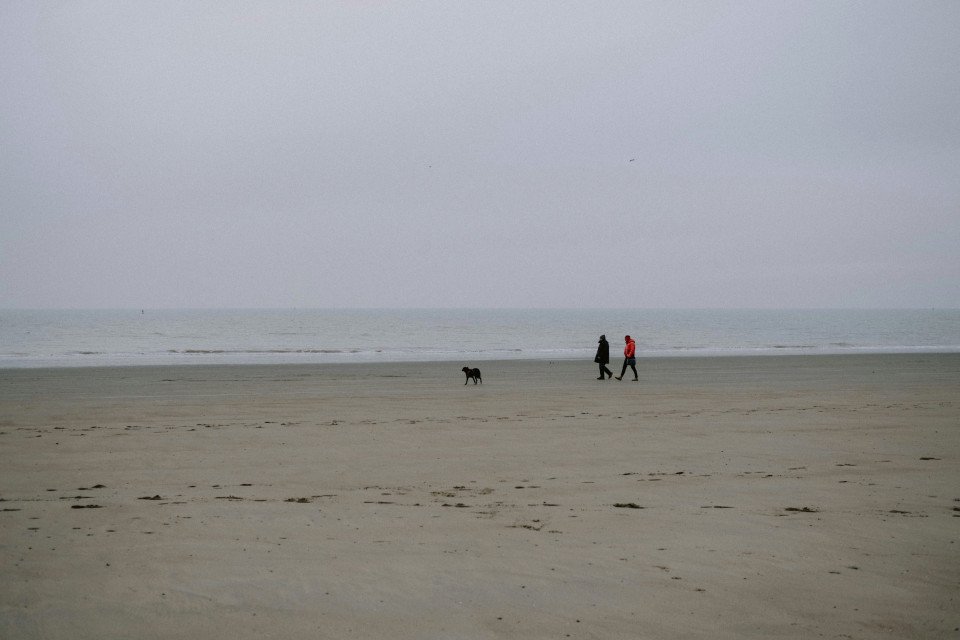 41 Image 41