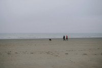 41 Image 41