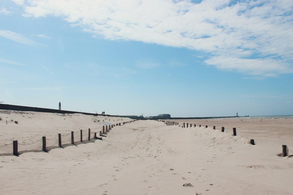 37 Image 37