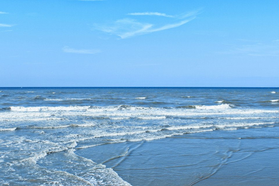 41 Image 41