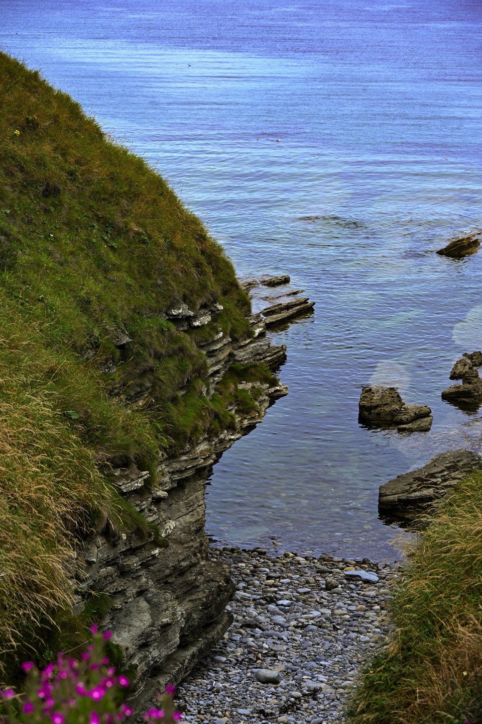 8 Image 8