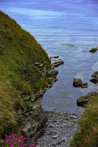 8 Image 8
