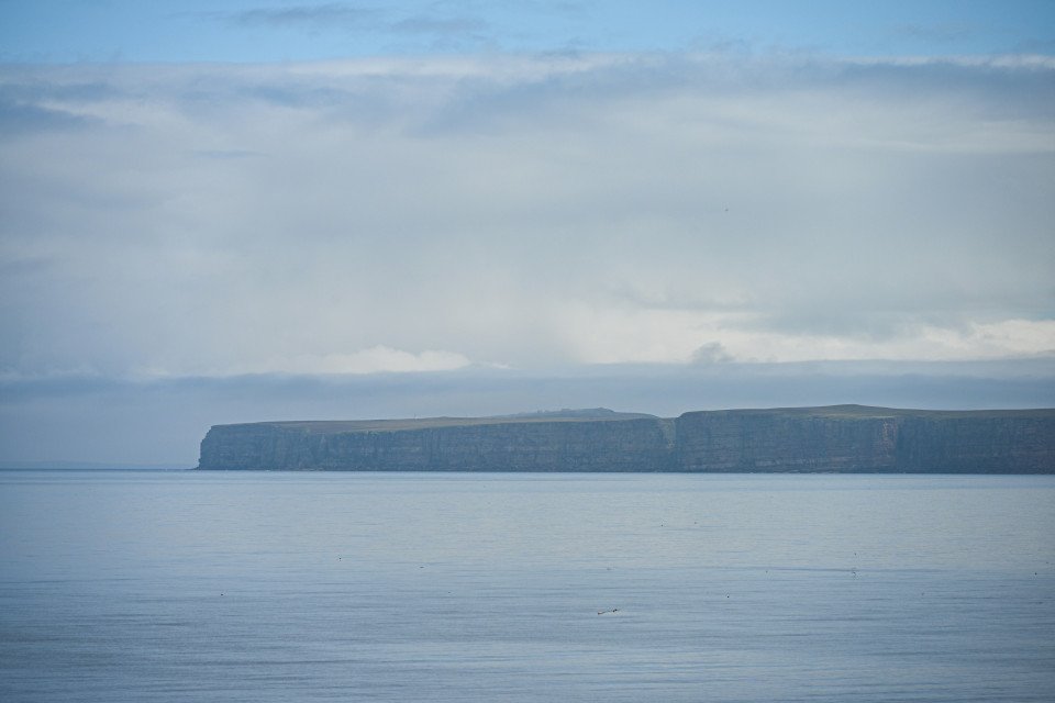 7 Image 7