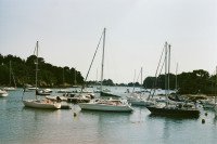 25 Image 25