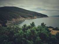 8 Image 8