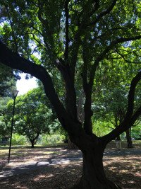 7 Image 7