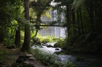 10 Image 10