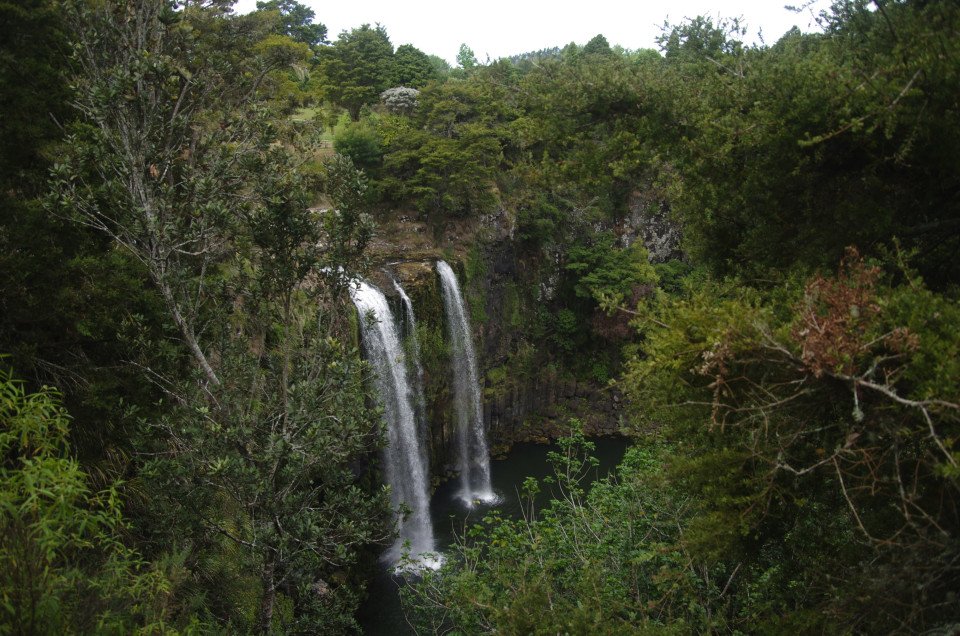 7 Image 7
