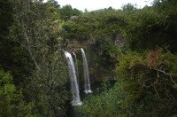 7 Image 7