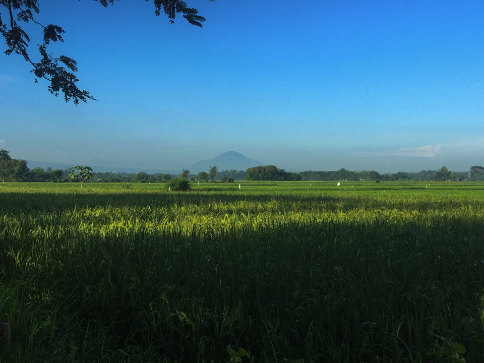 13 Image 13