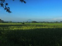 13 Image 13