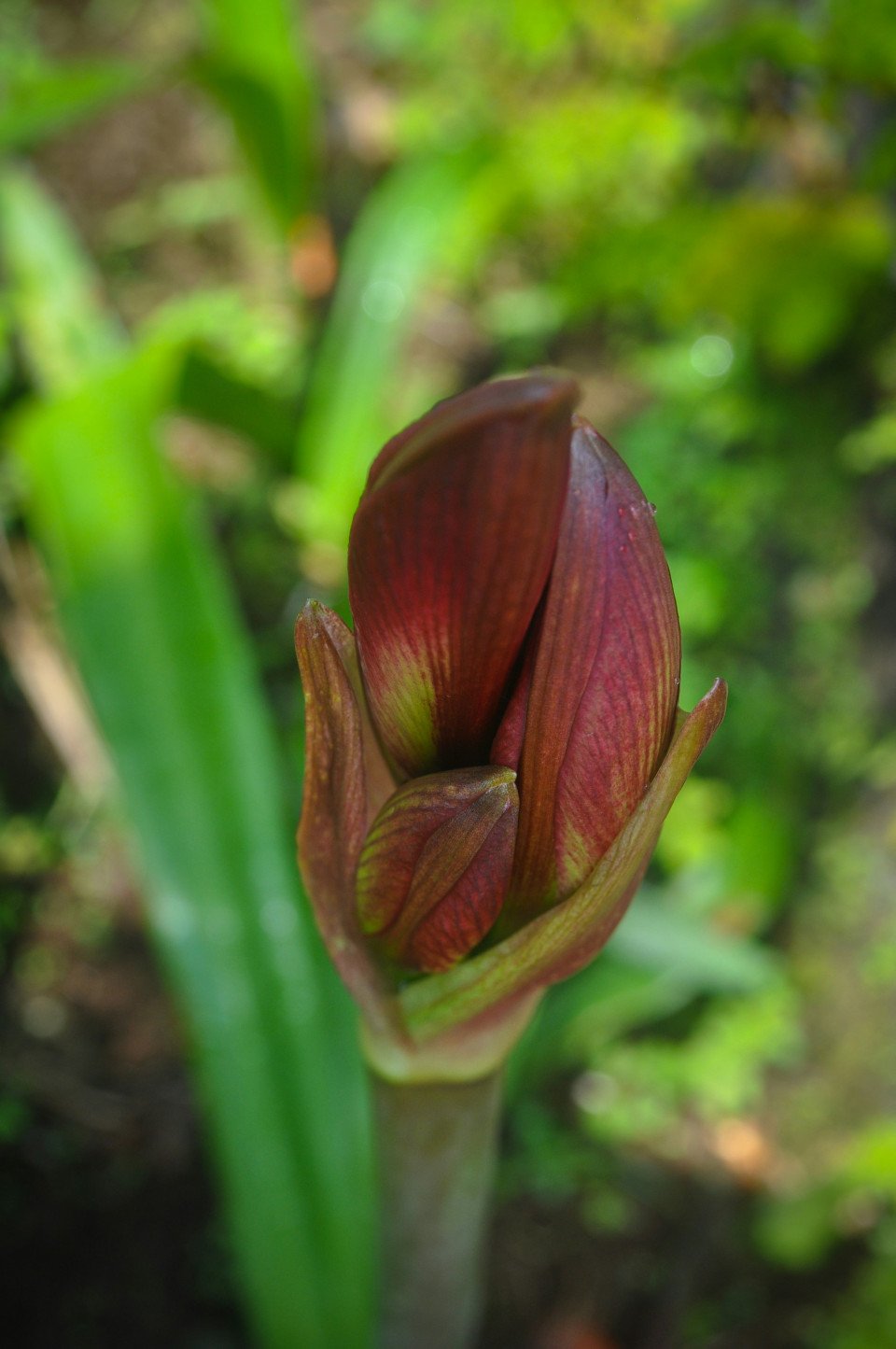 15 Image 15