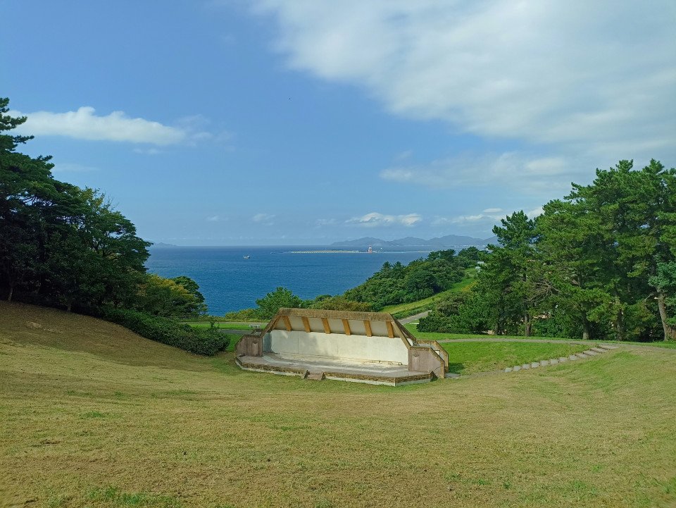 7 Image 7