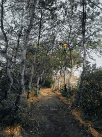 5 Image 5