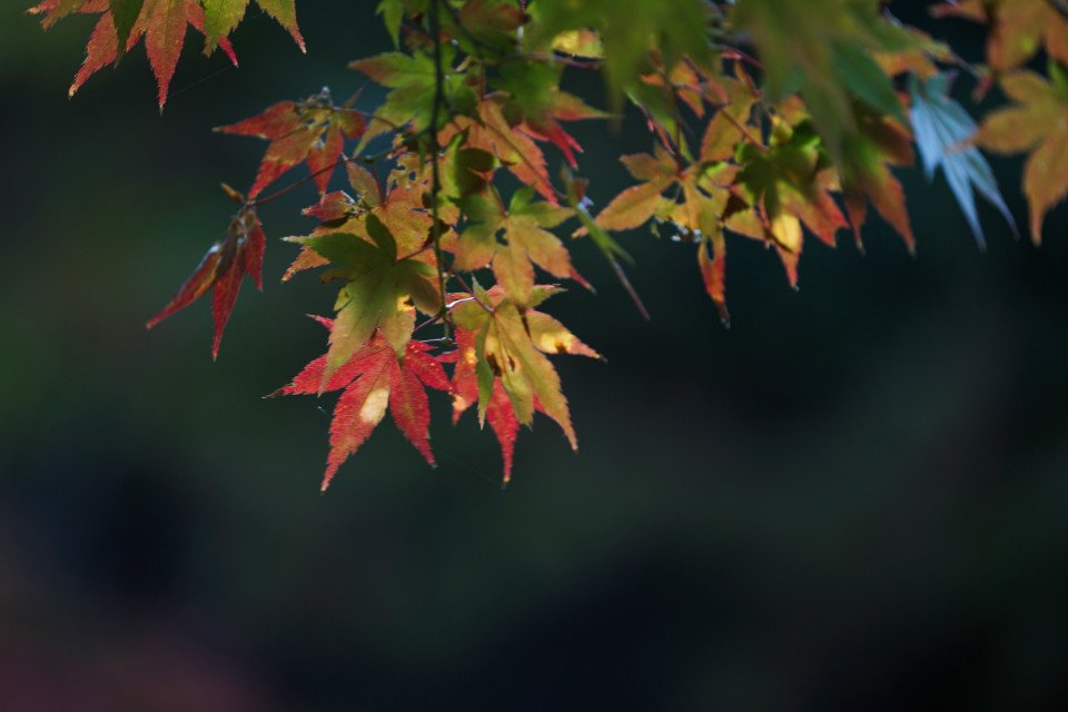 7 Image 7