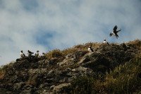 9 Image 9
