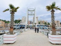 12 Image 12