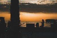 13 Image 13