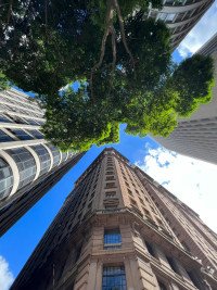 12 Image 12