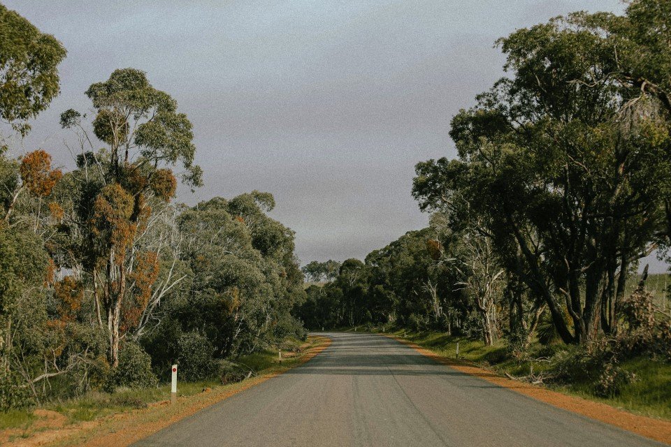 14 Image 14