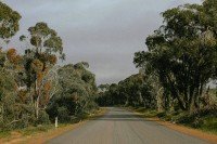 14 Image 14