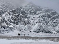 11 Image 11