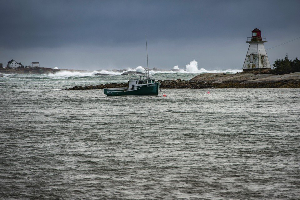 15 Image 15
