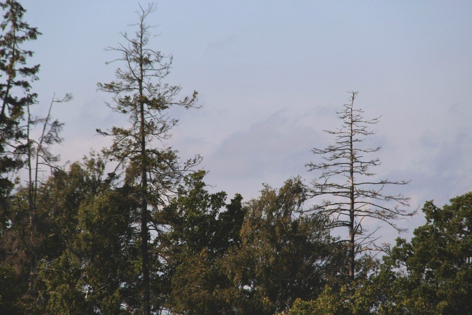 14 Image 14