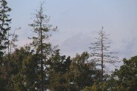 14 Image 14