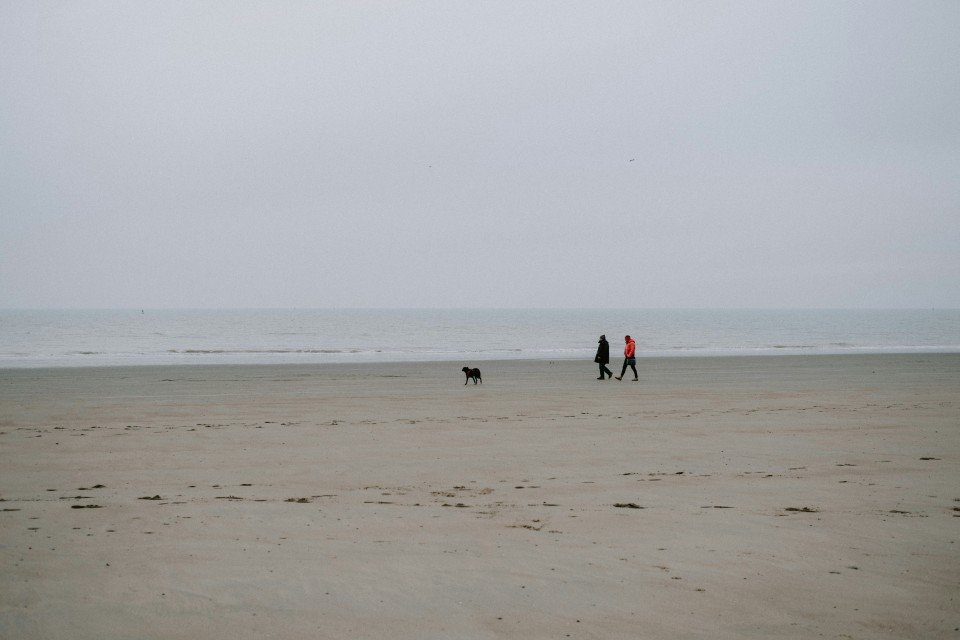 10 Image 10