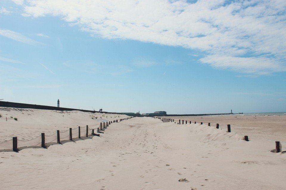 12 Image 12