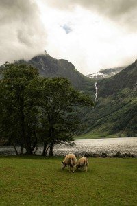 10 Image 10