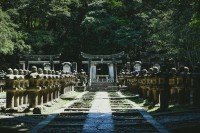 7 Image 7