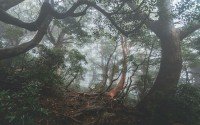 10 Image 10