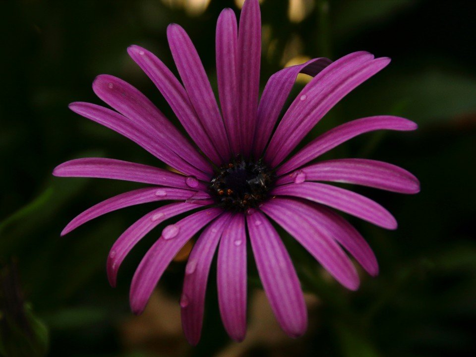7 Image 7