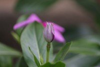 5 Image 5