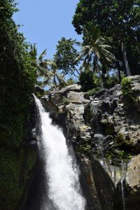8 Image 8