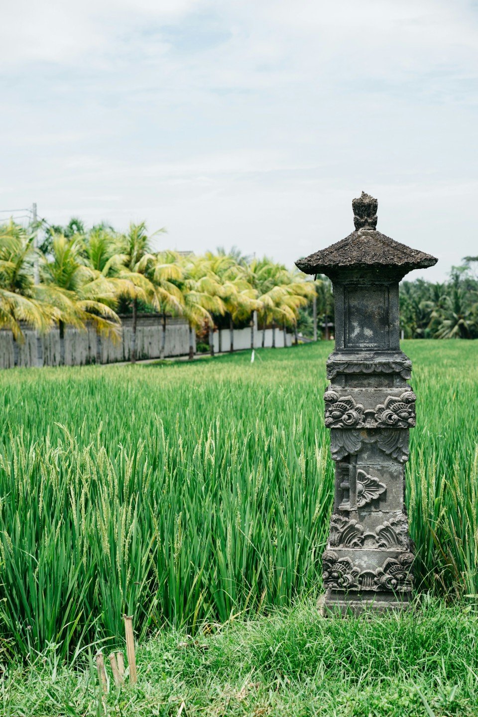 7 Image 7