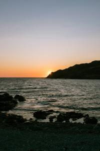 8 Image 8