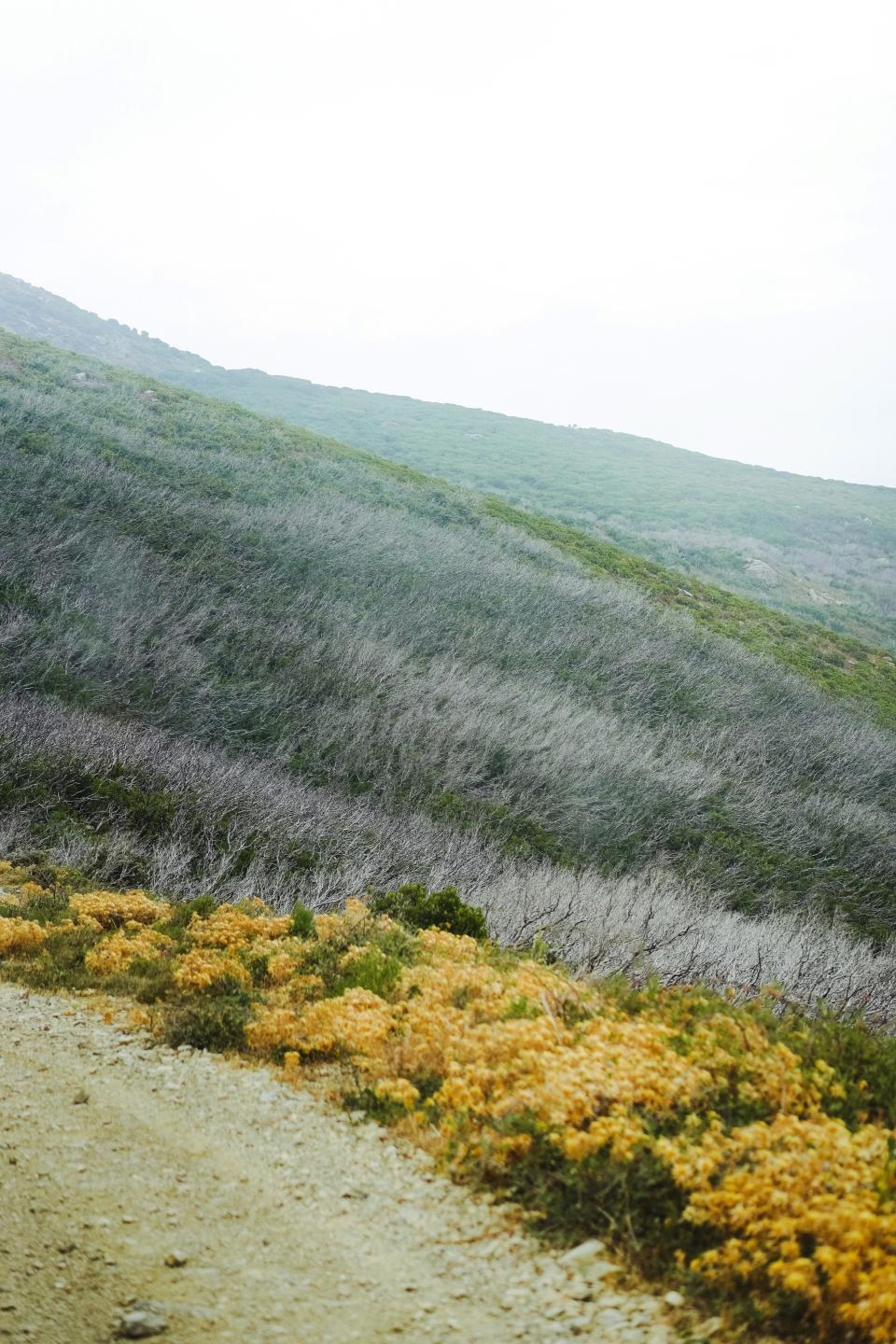 15 Image 15